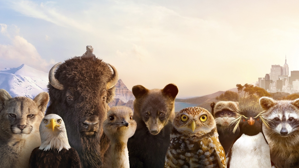 The Americas 1. Sezon 5. Bölüm izle