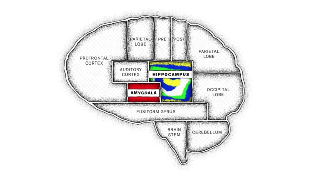 The Mind, Explained 1. Sezon 5. Bölüm izle
